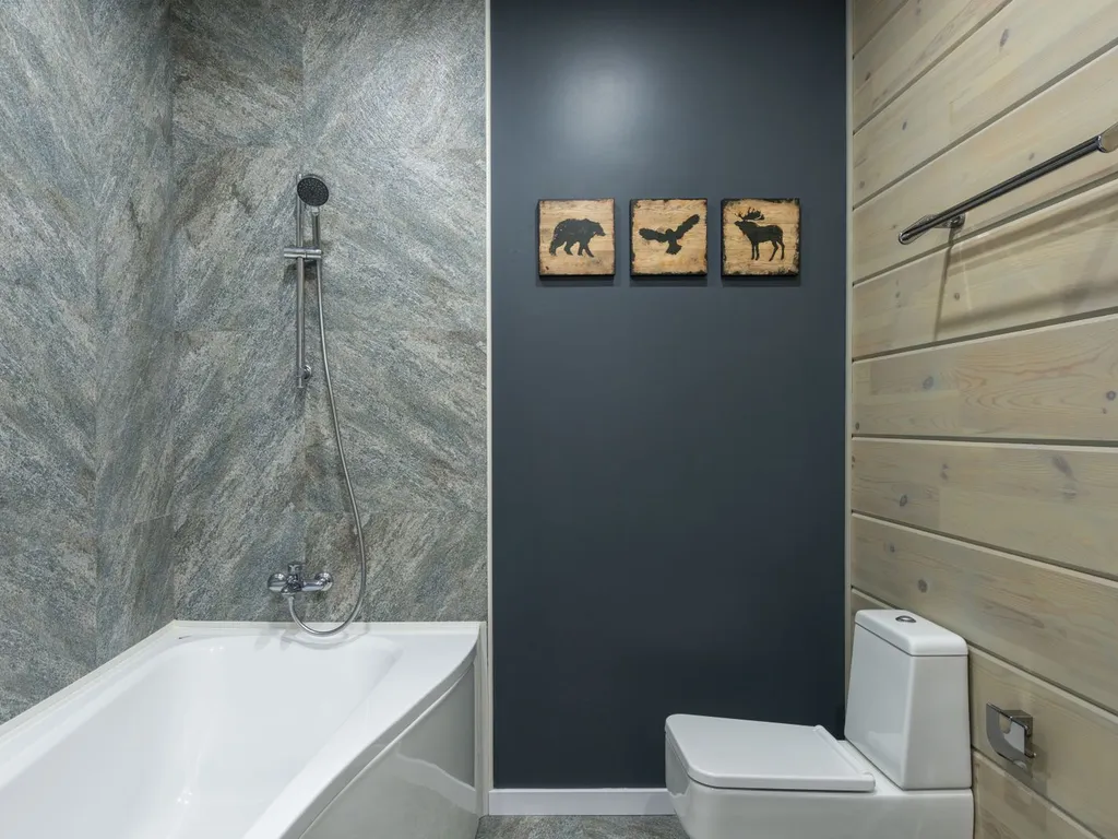 affordable toilet plumbing Sun City