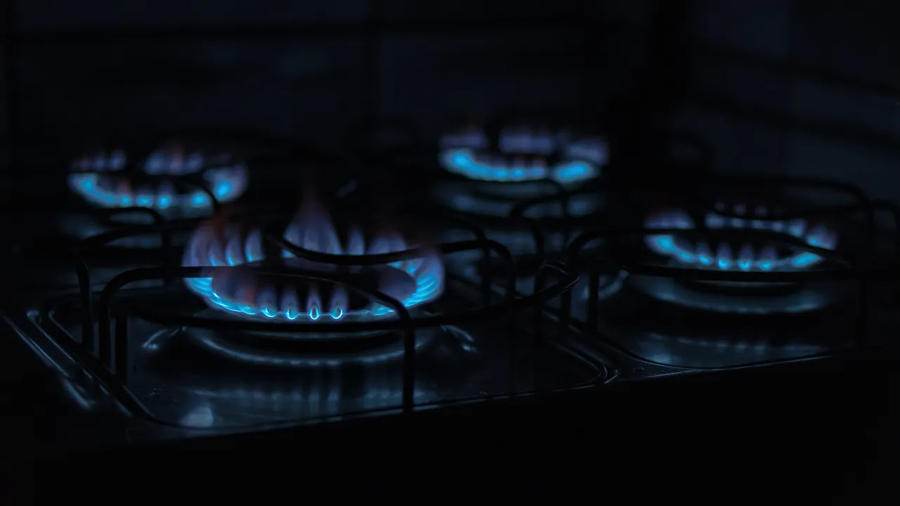 gas leak repair near me